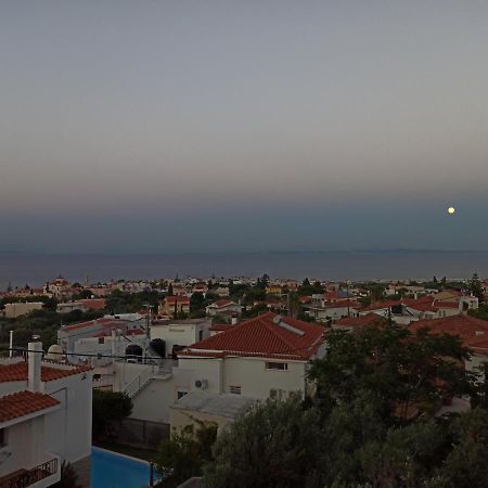 Maris Full Apartment With Roof Garden Access خيوس المظهر الخارجي الصورة